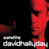 David Hallyday : Satellite